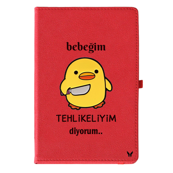 Tehlikeliyim Defter